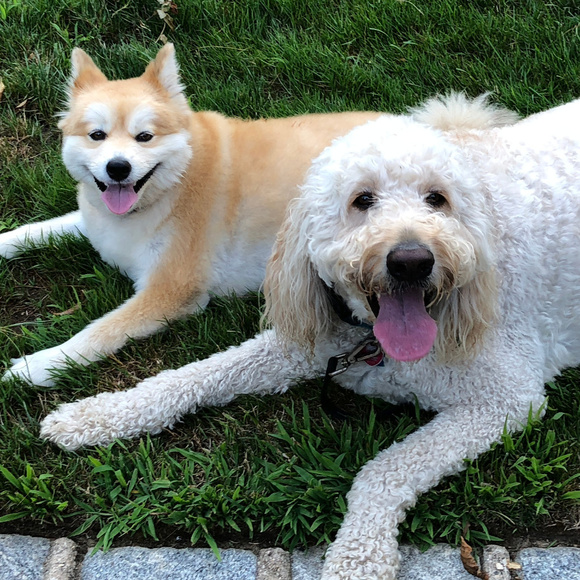 Make Me an Offer! - Picture 1 of 4